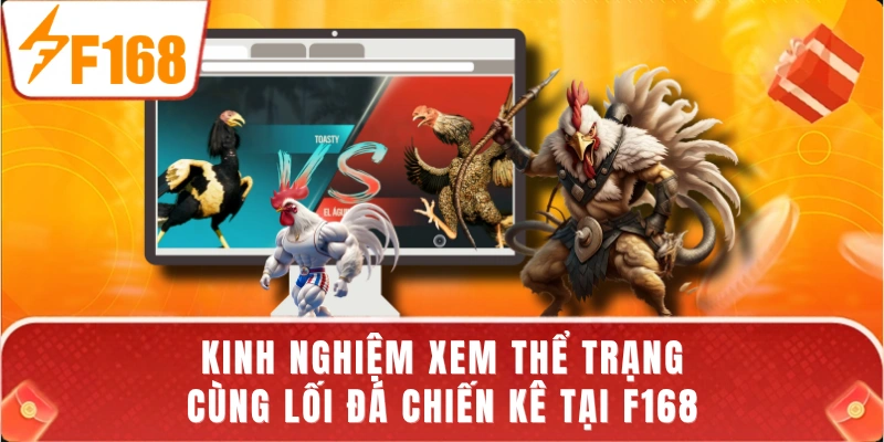 Kinh nghiệm xem thể trạng cùng lối đá chiến kê tại F168